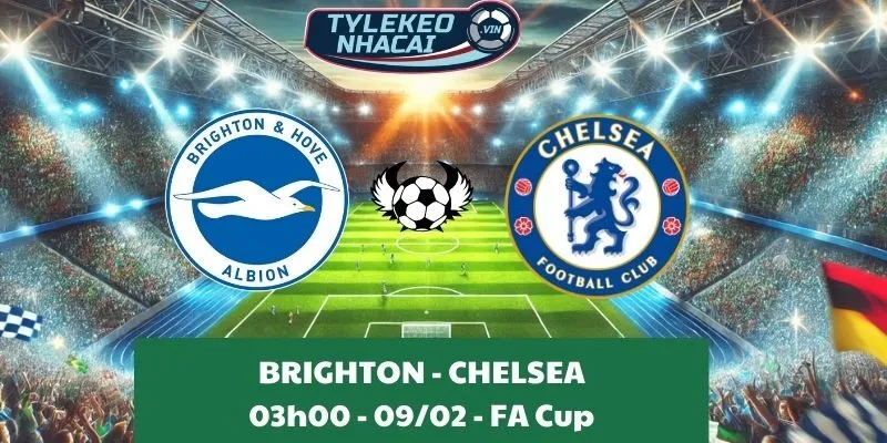 Tỷ lệ kèo nhà cái Brighton & Hove Albion - Chelsea 03:00 - 09/02/2025